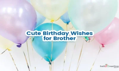 Happy Birthday Wishes for Brother