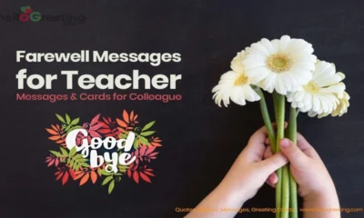 Farewell Messages for Teacher