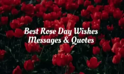 Rose Day Wishes Messages