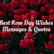 Rose Day Wishes Messages