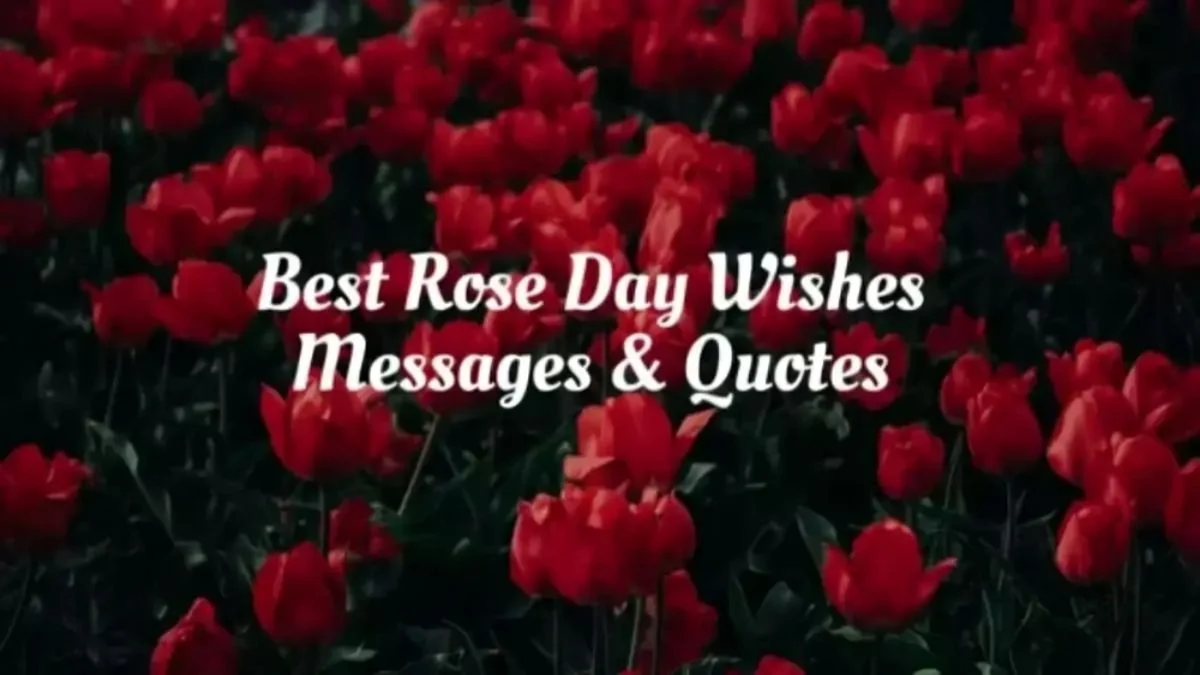 Rose Day Wishes Messages