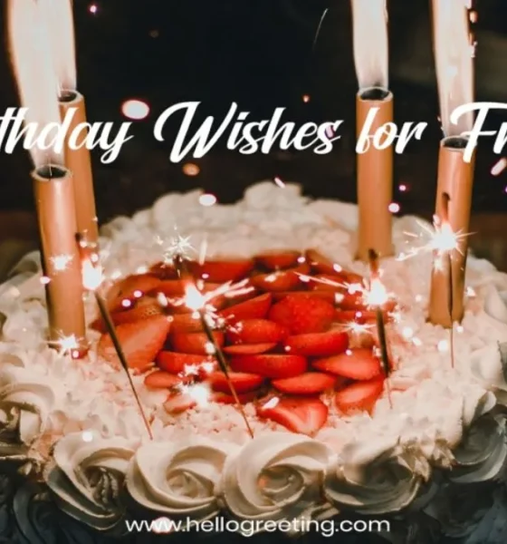 Happy Birthday Friend
