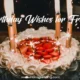 Happy Birthday Friend