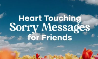 100+ Heart Touching Sorry Messages for Friends