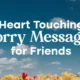 100+ Heart Touching Sorry Messages for Friends