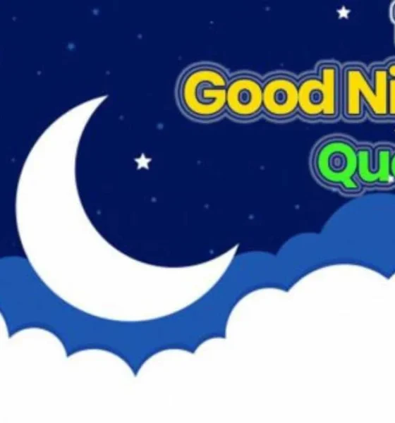 100+ Wonderful Good Night Quotes for Him & For Her