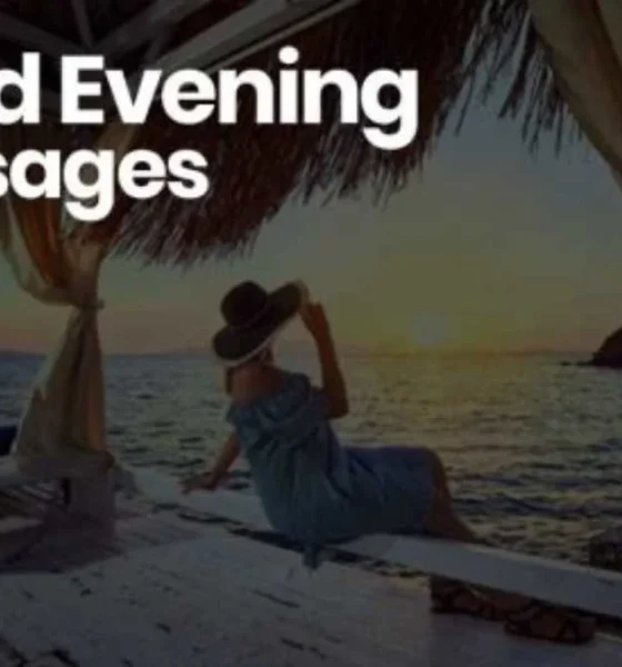 150+ Sweet Good Evening Messages Quotes with Image