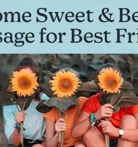 150+ Sweet Message for Best Friend to Motivate, Complement