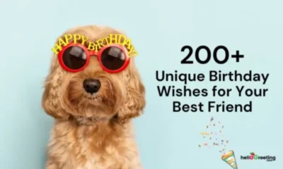 200+ Unique Birthday Wishes for Your Best Friend to Impress on Their Big Day