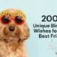 200+ Unique Birthday Wishes for Your Best Friend to Impress on Their Big Day