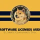 Doge software licenses audit HUD