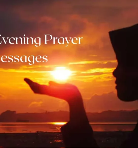 100+ Heavenly Good Evening Prayer Messages for Loved Ones
