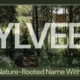 Sylveer