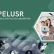 Rapelusr