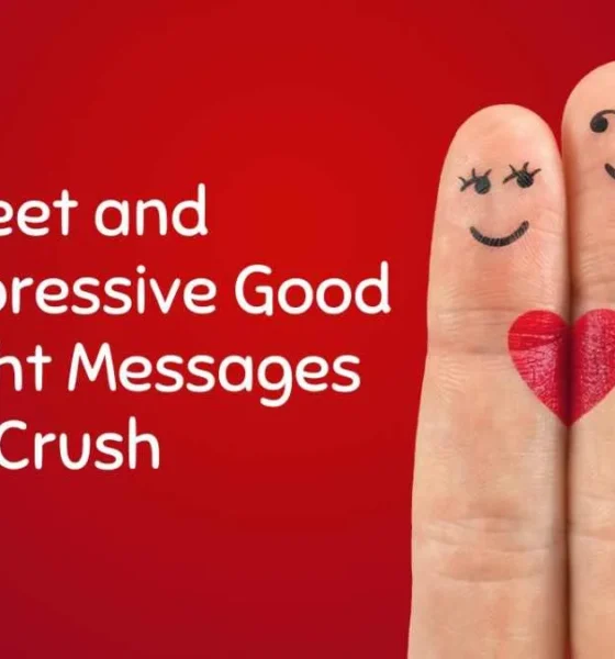 Sweet and Impressive Good Night Messages for Crush