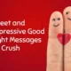 Sweet and Impressive Good Night Messages for Crush