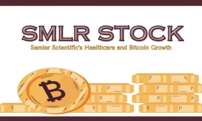 SMLR Stock