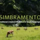 Simbramento